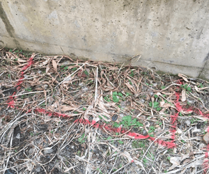 基礎工事の徹底